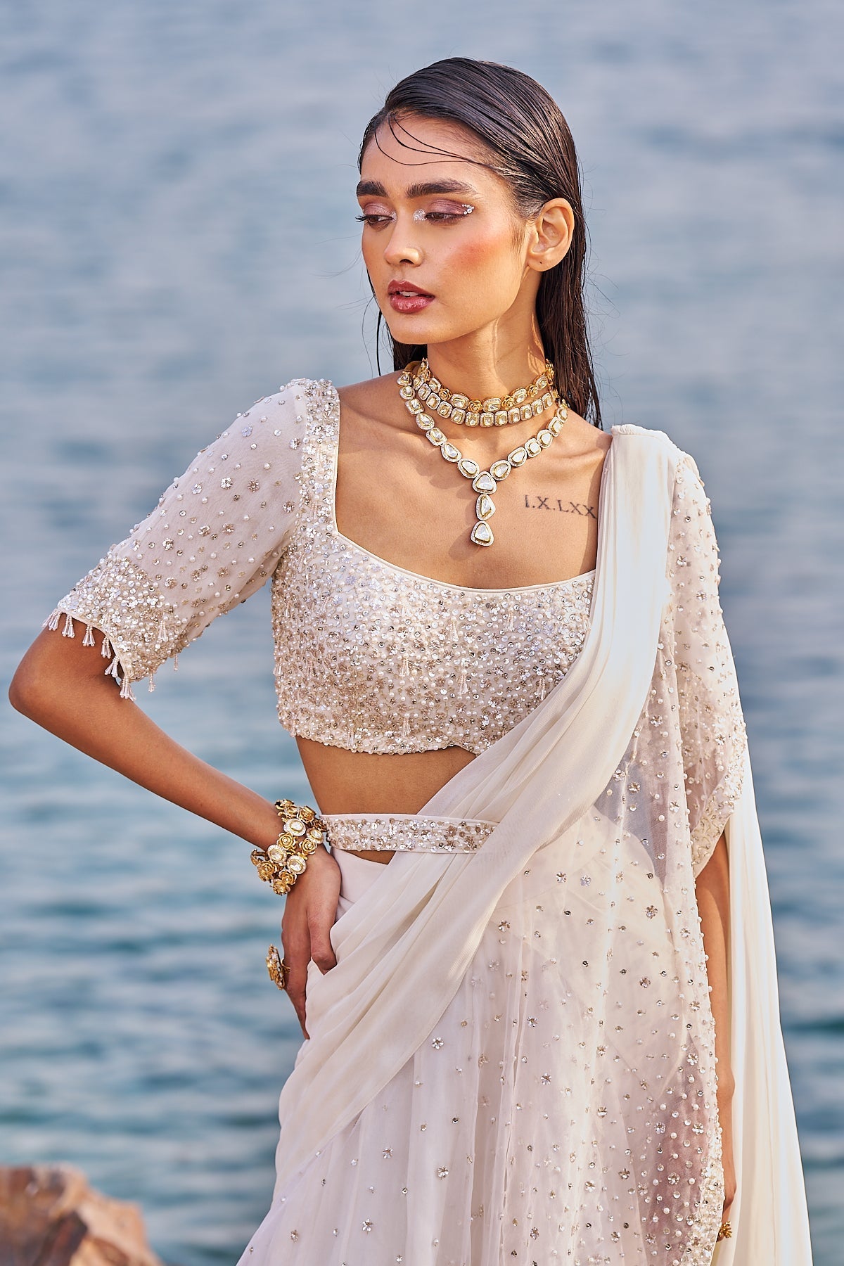 JALSAA-E- BAHAAR SAREE