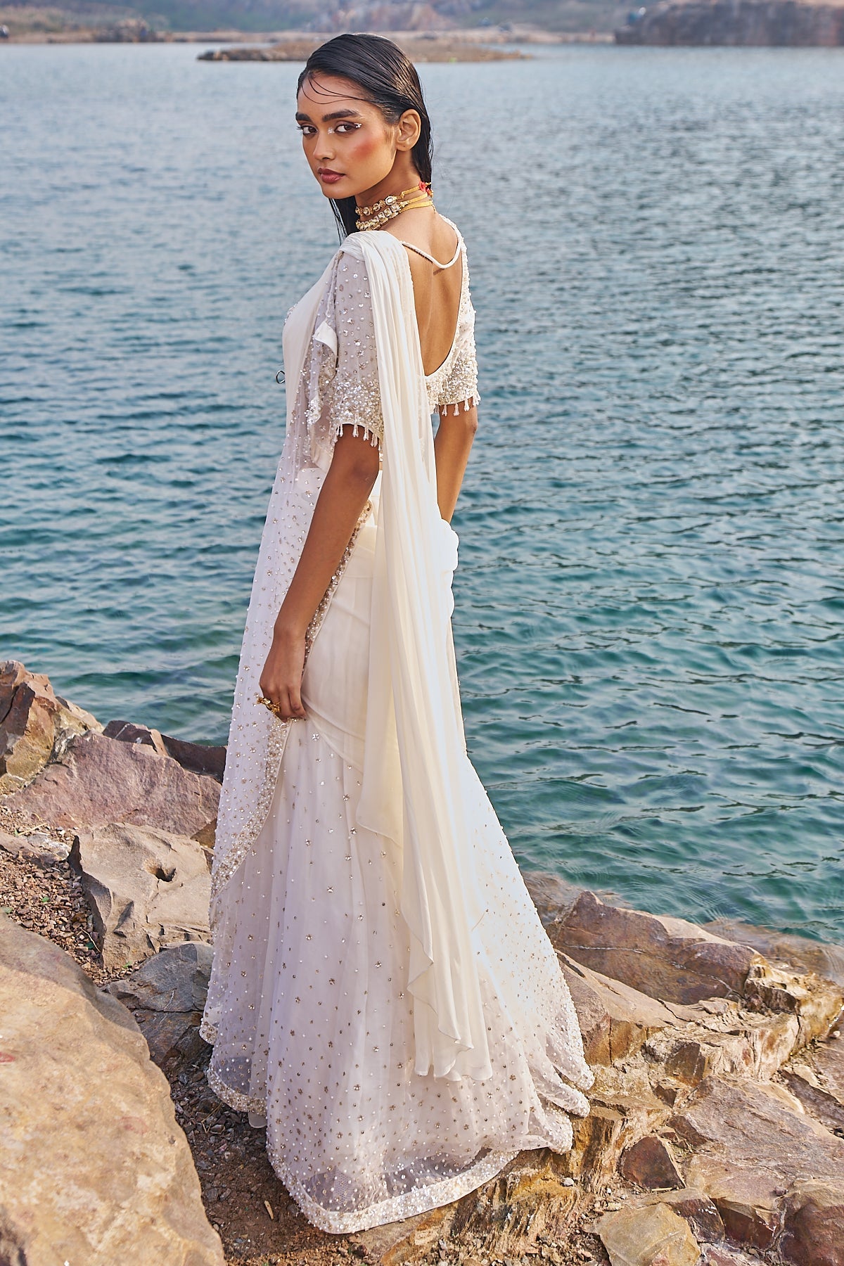 JALSAA-E- BAHAAR SAREE